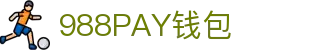 988PAY钱包 - 安全支付工具